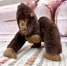 Load image into Gallery viewer, Live Shows Gorilla
