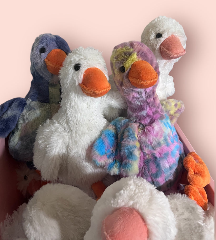 Live Shows Goose